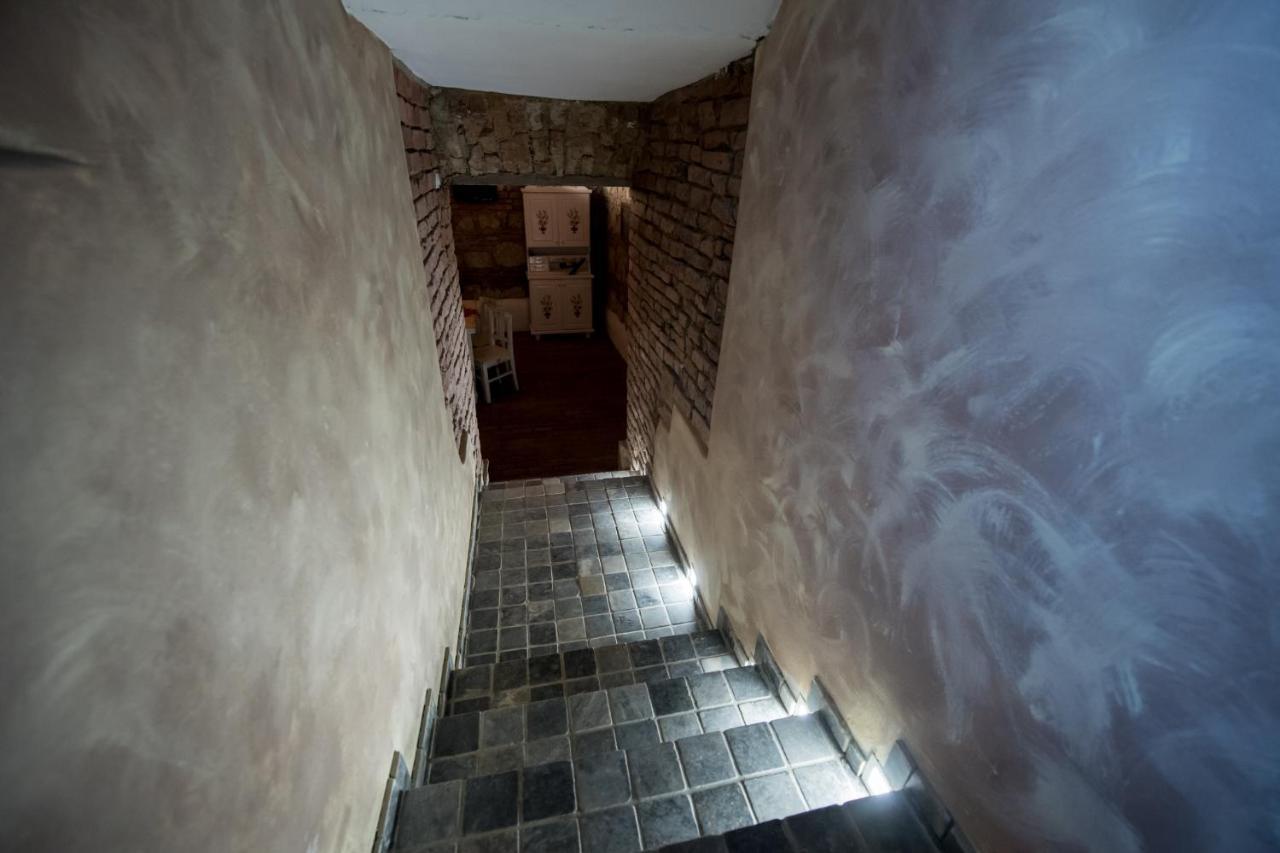 Vila Nicopole Art & Wine Брашов Экстерьер фото